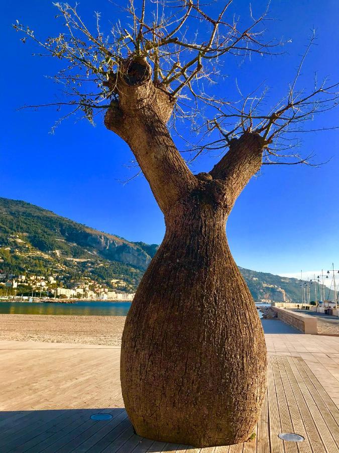 Longue 1 Menton Apartment ภายนอก รูปภาพ